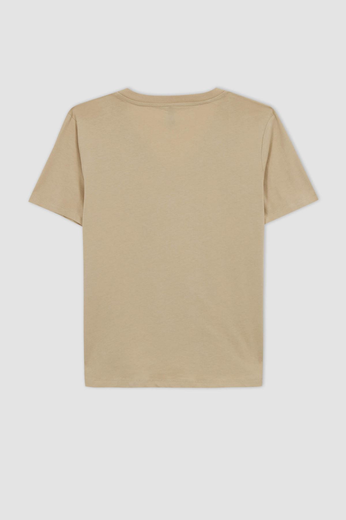 Defacto Kadın Kahverengi Tişört - I1080AZ/BG278