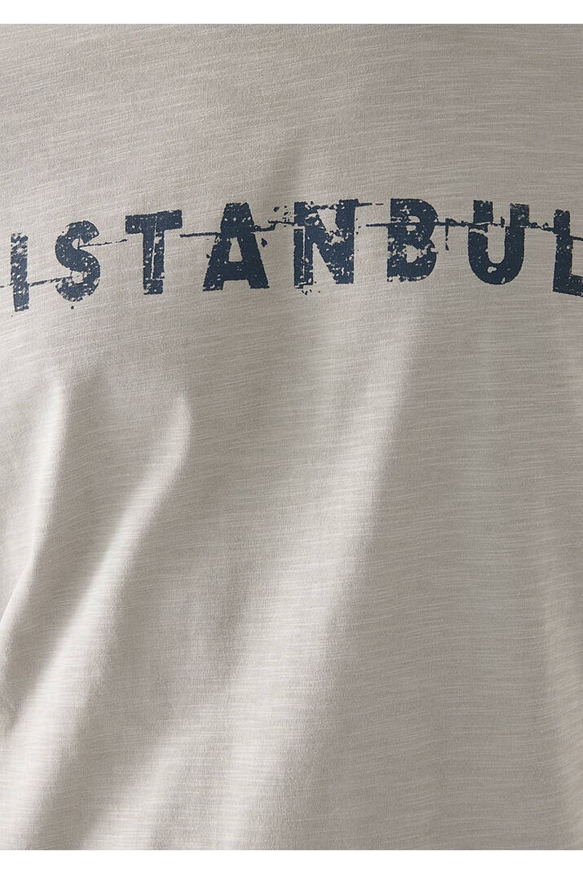 İstanbul Erkek Gri Tişört - M066282-31935