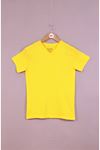 Giyinsen Erkek Sarı  Tişört - 23YL71595043