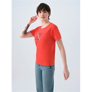 ep69gy106049_c003_4.jpg