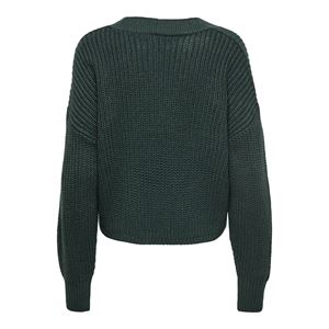 ew21gy111127_c011_4.jpg